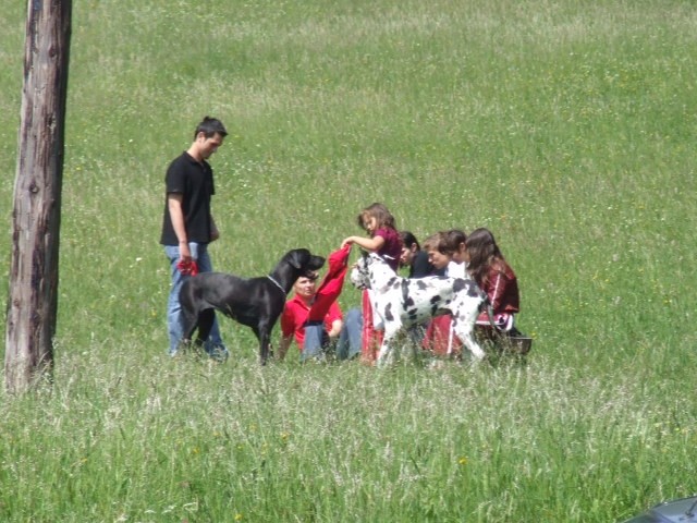 Doga piknik 19.05.2007 - foto