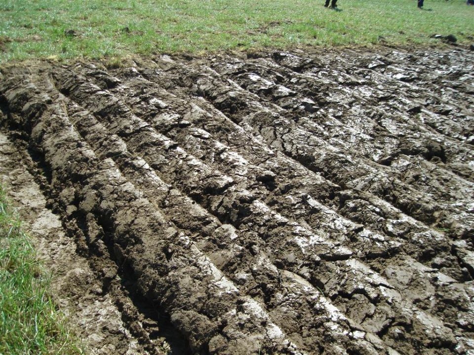 Državno tekmovanje v oranju 2010- Vipava - foto povečava