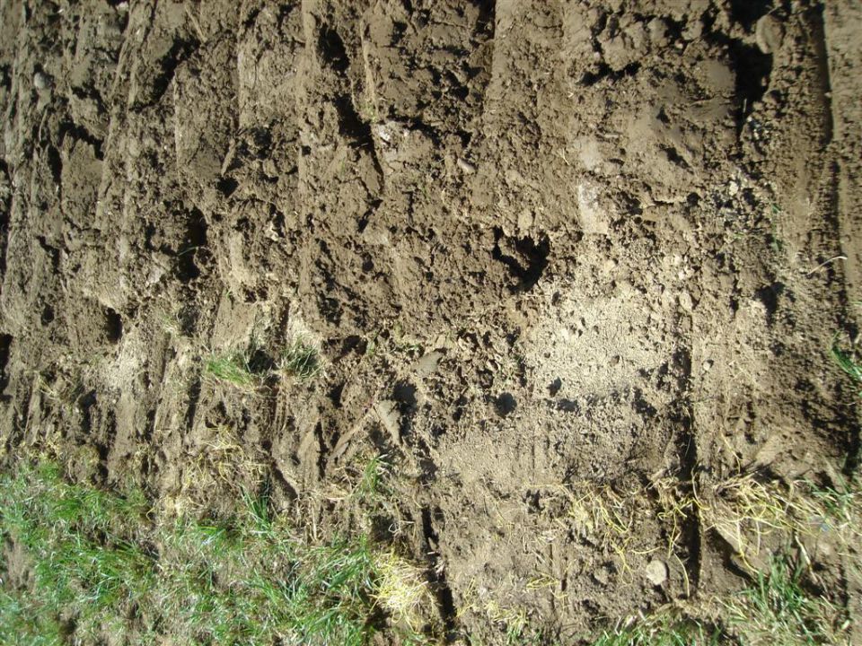 Državno tekmovanje v oranju 2010- Vipava - foto povečava