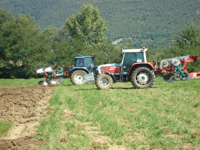 Državno tekmovanje v oranju 2010- Vipava - foto