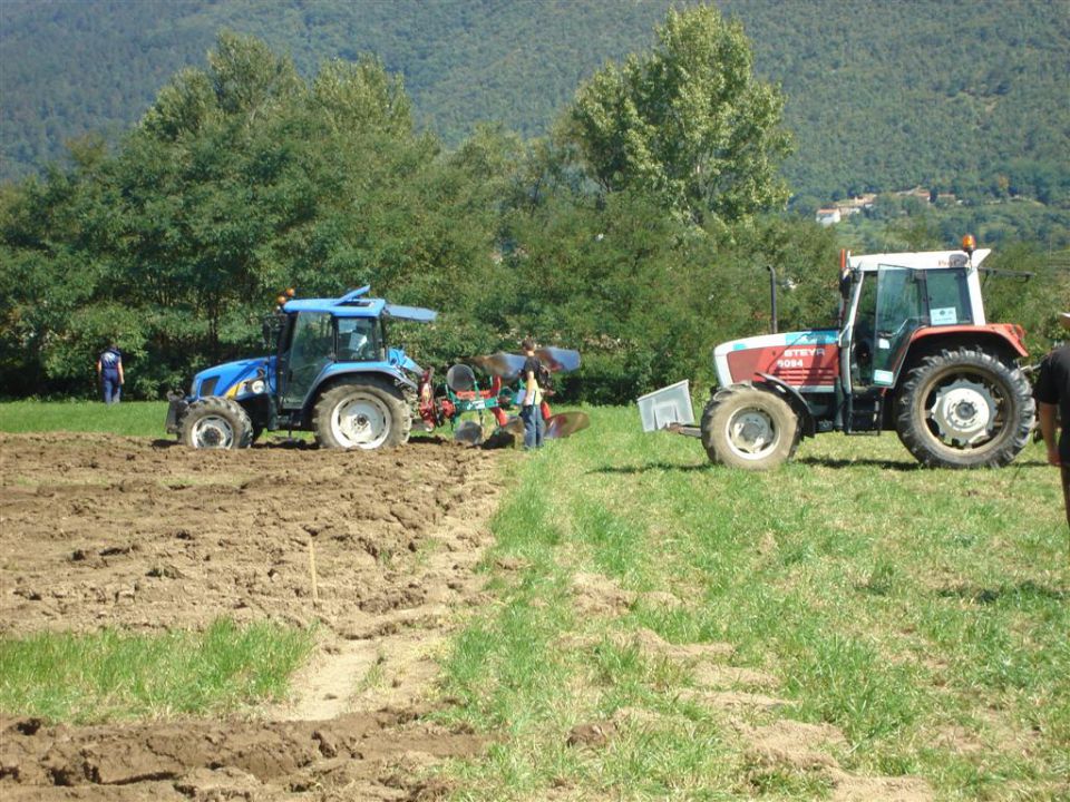Državno tekmovanje v oranju 2010- Vipava - foto povečava