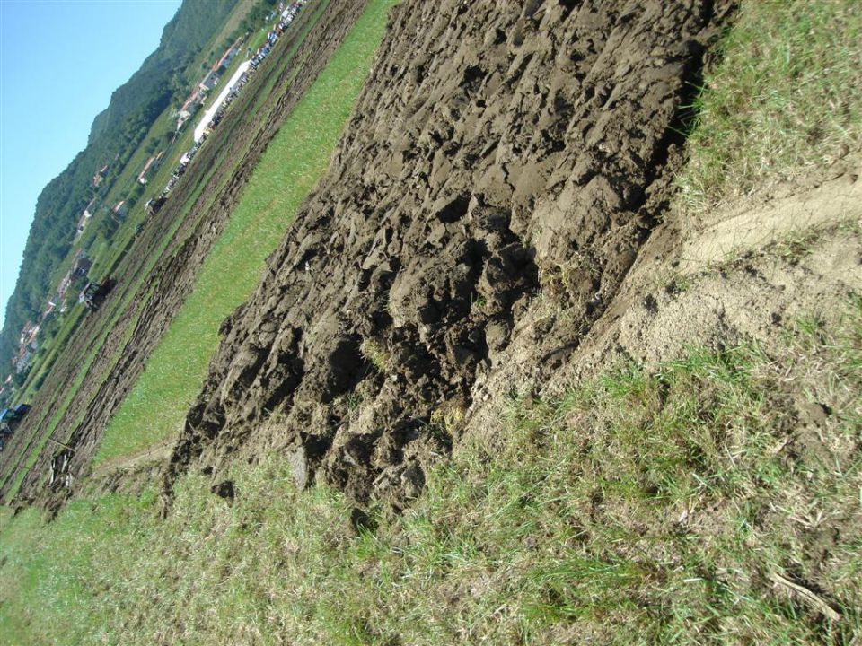 Državno tekmovanje v oranju 2010- Vipava - foto povečava