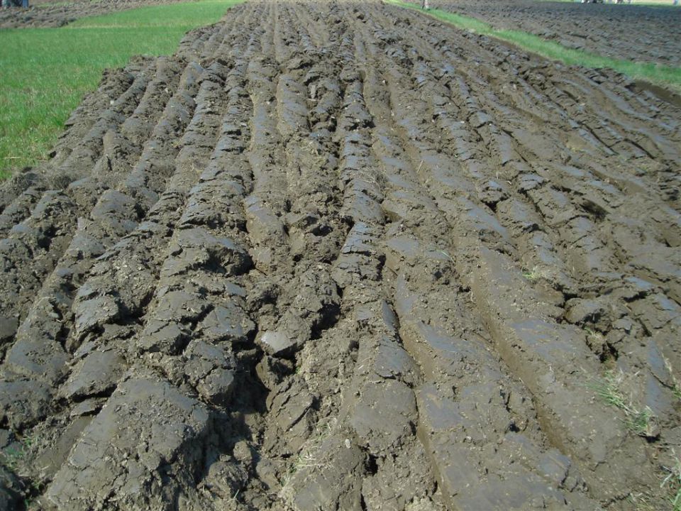 Državno tekmovanje v oranju 2010- Vipava - foto povečava