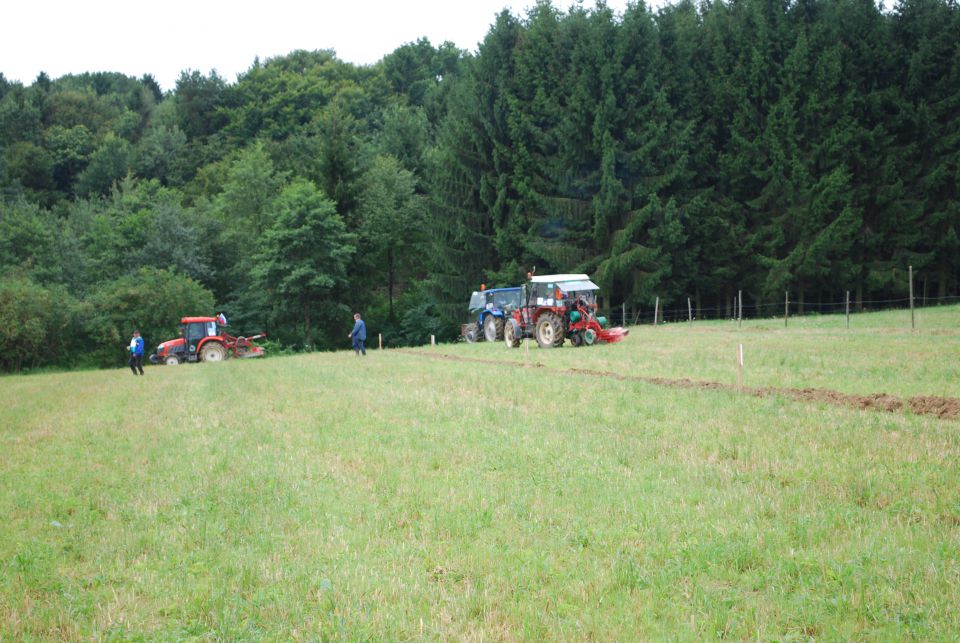 Regijsko tekmovanje v oranju - foto povečava