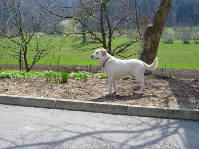April 2005 - foto