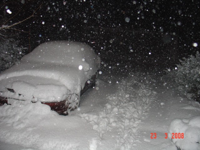 Sneg - foto povečava