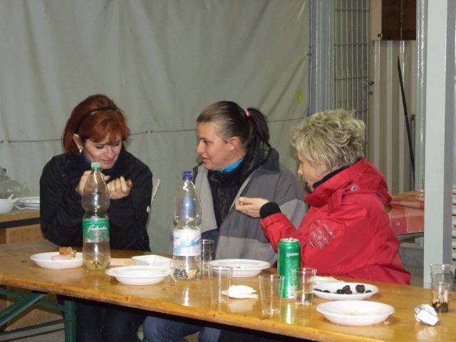 Kostanjev piknik 2010 - foto