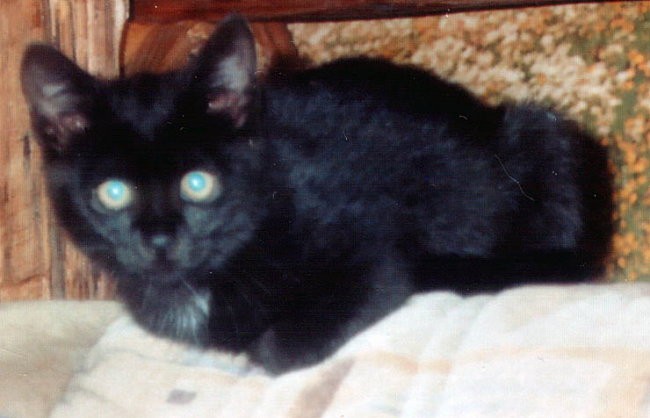 Mucek - foto povečava