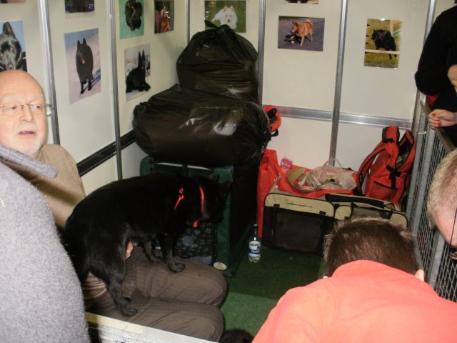Discover Dogs 2009 - foto