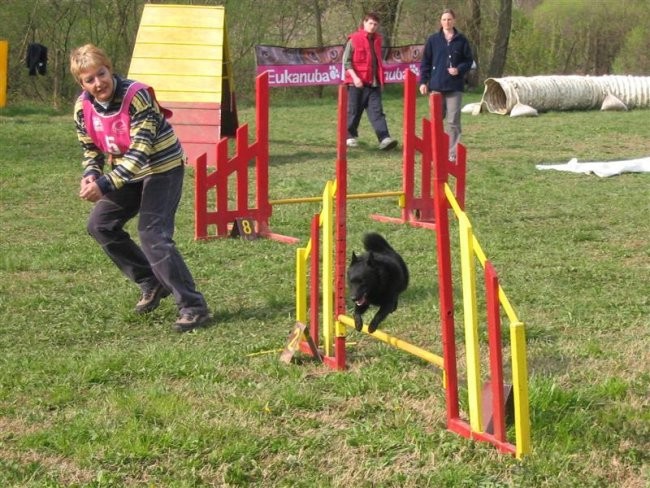 Pomlad na obali - foto povečava