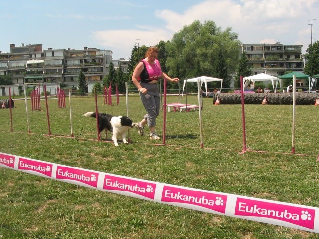 Agility - foto povečava