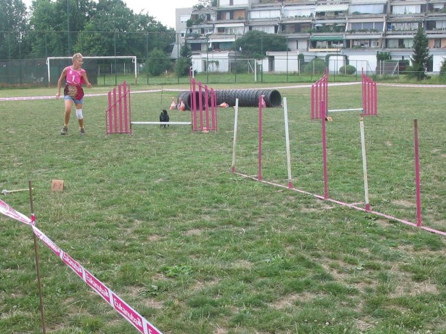 Agility - foto povečava