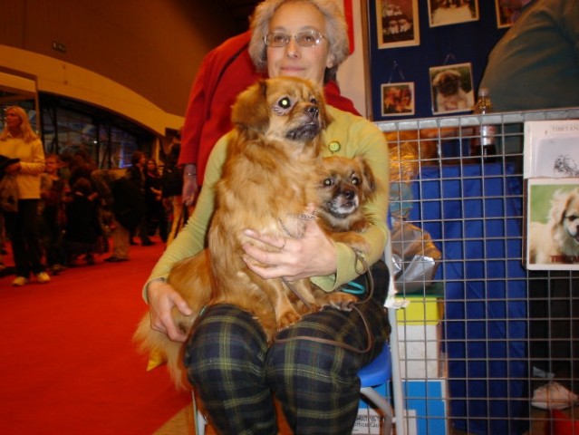 Discover Dogs London - foto