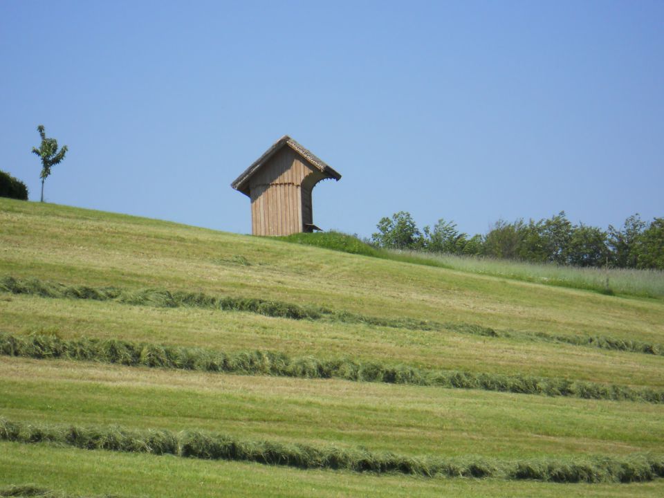 Razno - foto povečava