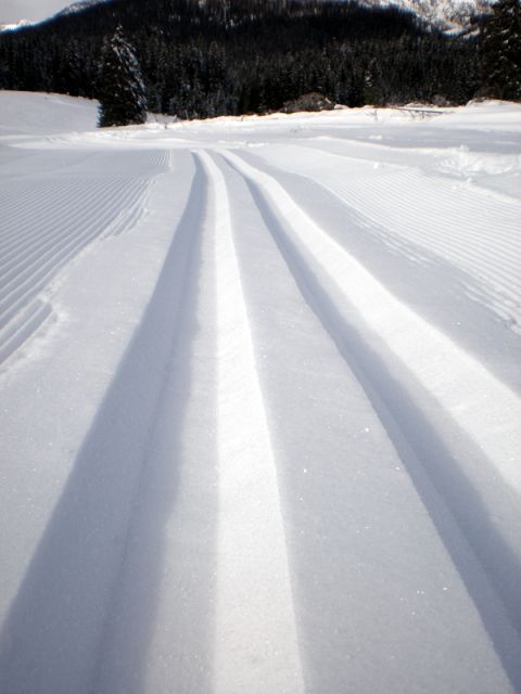 Blejska koča ´10 - foto