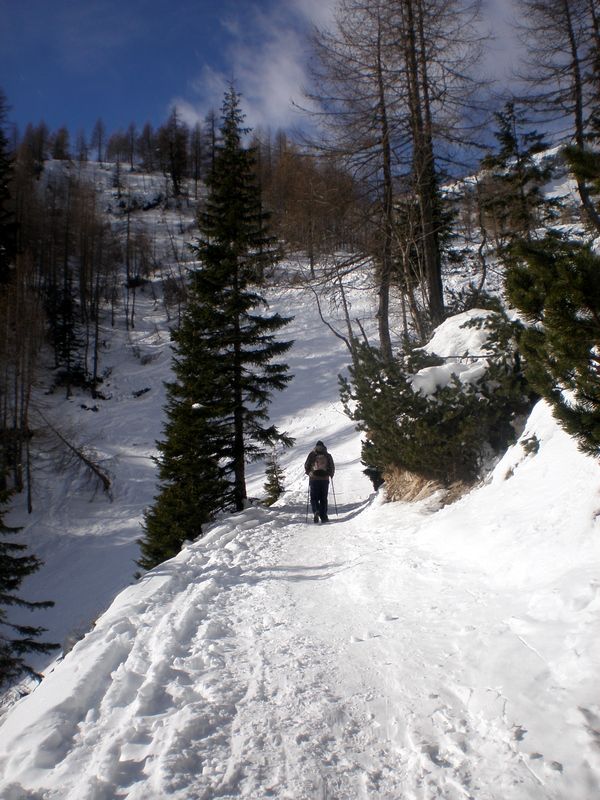 Blejska koča ´10 - foto povečava