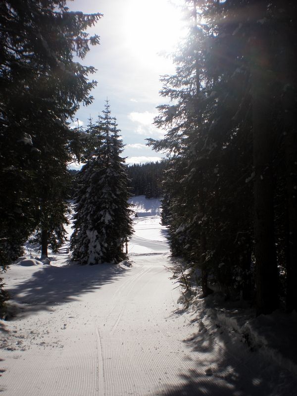 Blejska koča ´10 - foto povečava