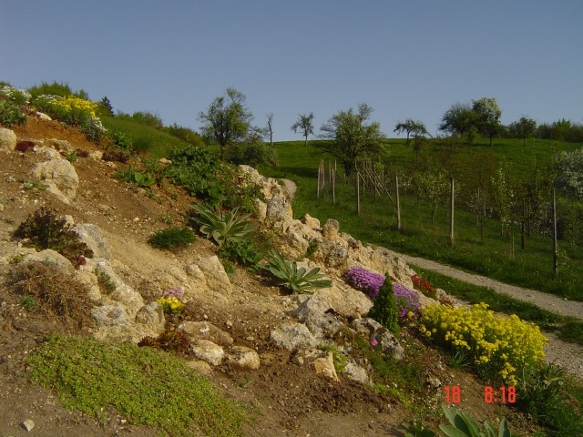 Skalnjak 2009 - foto