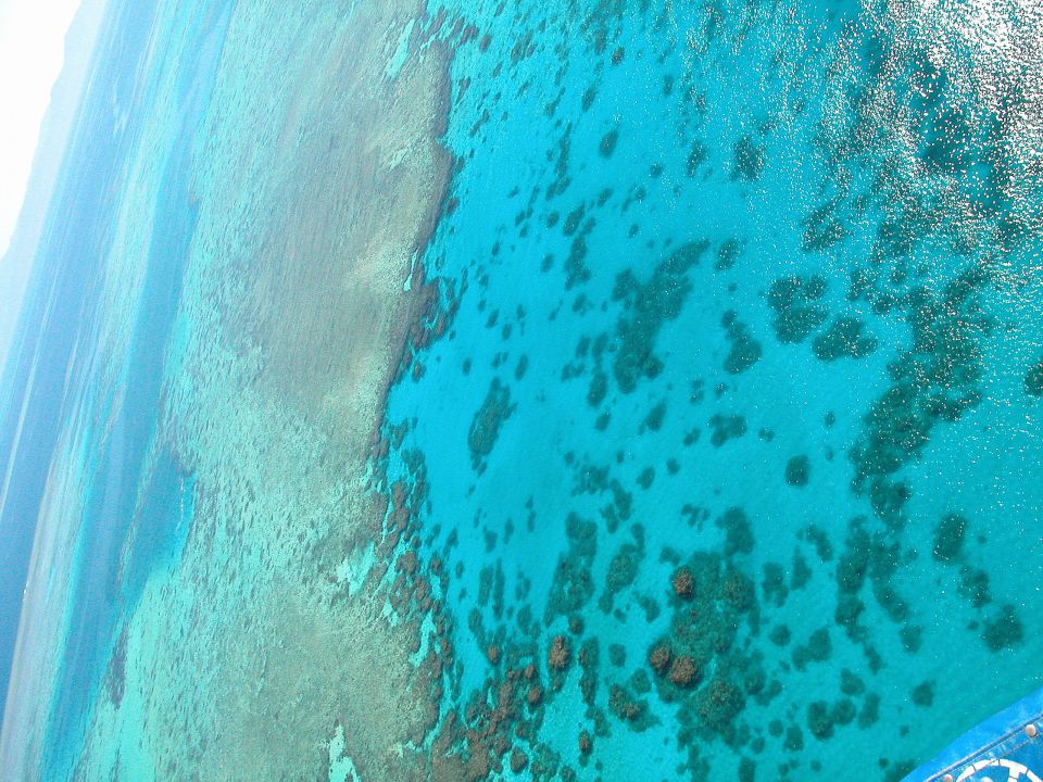 Veliki koralni greben vzhodna Avstralija
