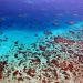 Veliki koralni greben vzhodna Avstralija