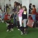 CACIB Zg 2007.