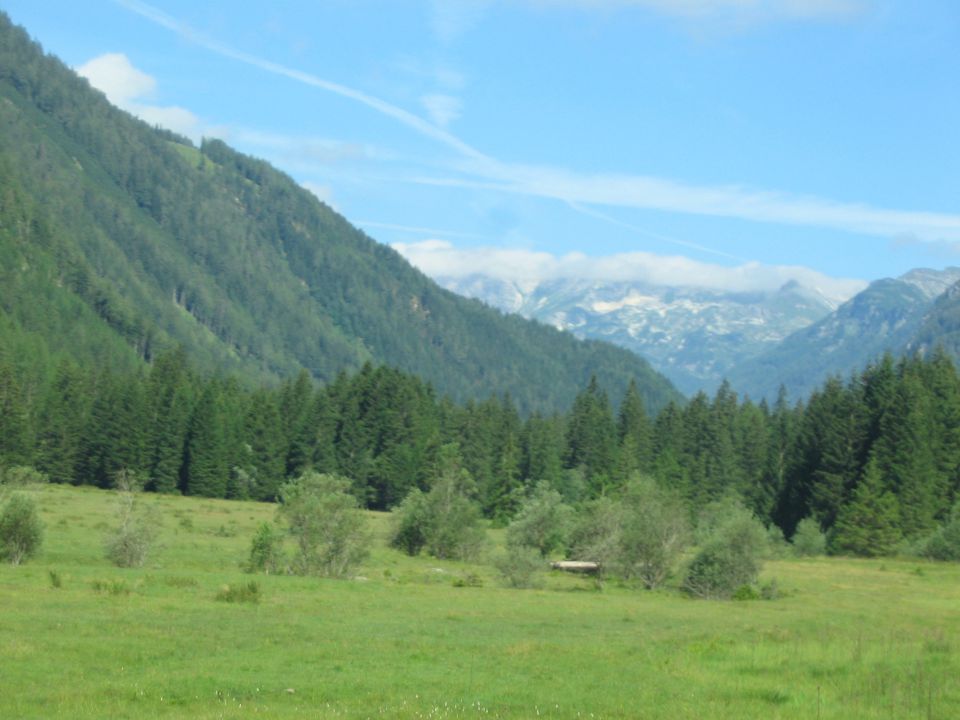 Orlovo gnezdo - foto povečava