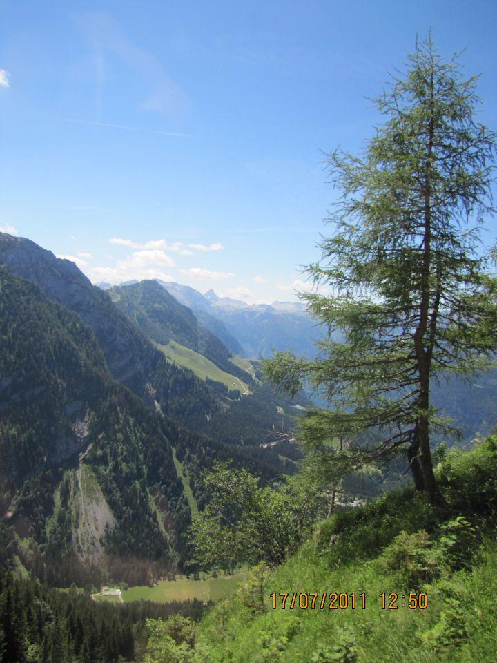 Orlovo gnezdo - foto povečava