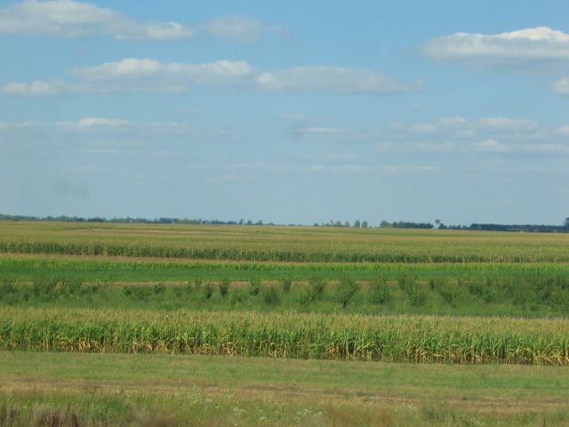 Vojvodina - Slavonija avgust 2011 - foto