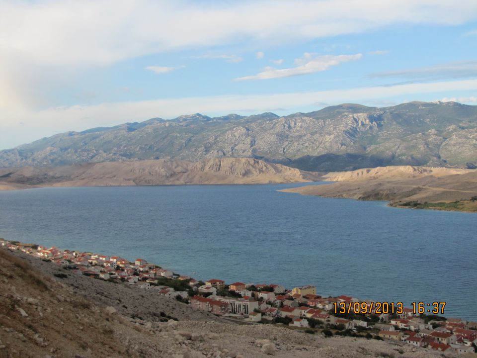 ZF 2013 - foto povečava