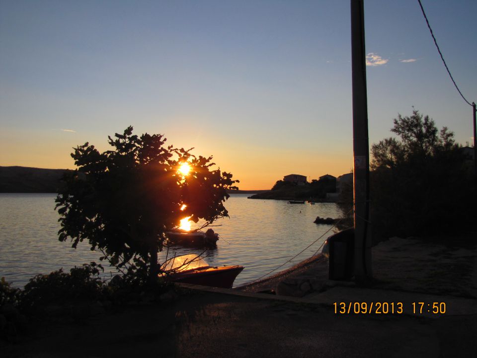 ZF 2013 - foto povečava