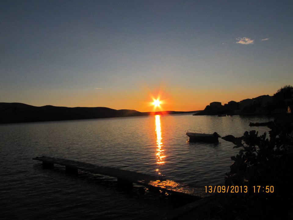 ZF 2013 - foto povečava