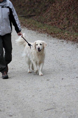 Sprehod z Anjo in Luno - foto povečava