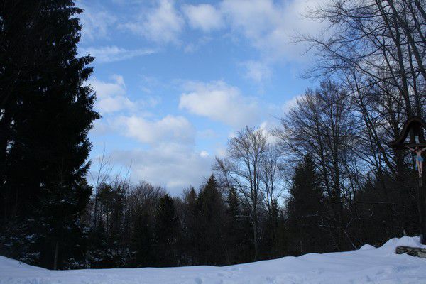 Limbarska gora - foto