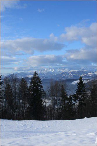 Limbarska gora - foto povečava