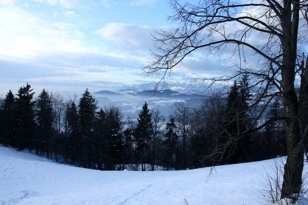Limbarska gora - foto povečava
