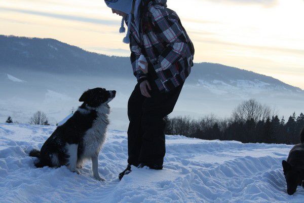 Limbarska gora - foto