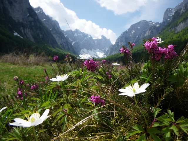Vzpon na Triglav - foto