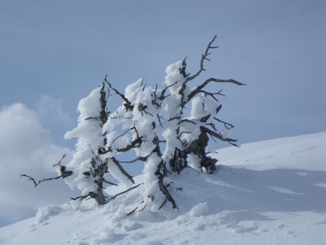 Zimski vzpon na Rzenik - foto