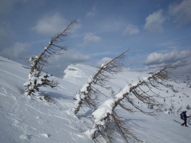 Zimski vzpon na Rzenik - foto