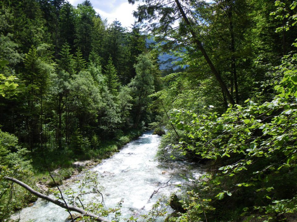 Lepote kamniške bistrice - foto povečava