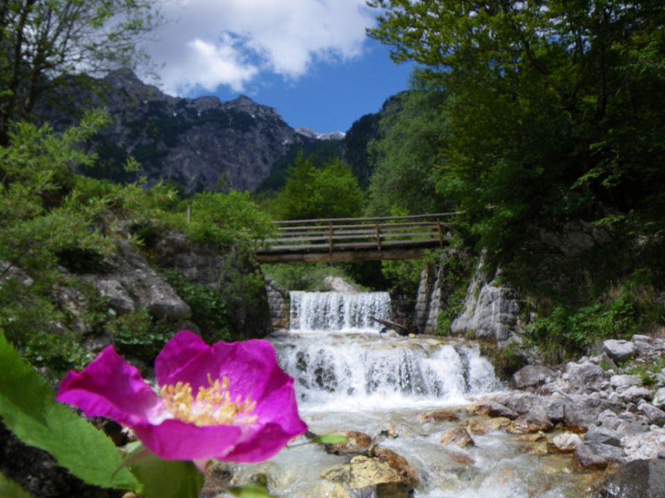 Lepote kamniške bistrice - foto povečava