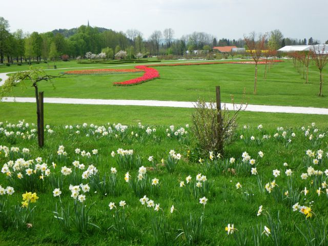 Volčji potok-pomlad 2009 - foto