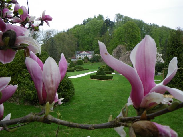 Volčji potok-pomlad 2009 - foto