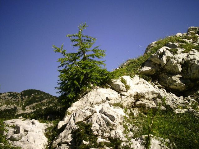 Poletni vzpon na triglav - foto