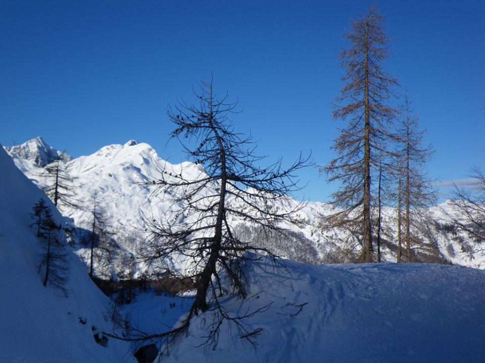 Smučanje na voglu - foto povečava