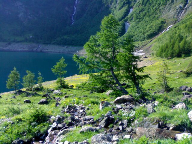 Vzpon na 3100 m. visoko campo tencio-švica - foto