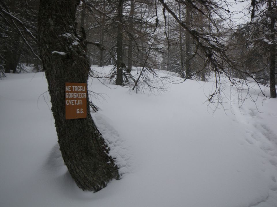 Zimski vzpon na kamniško sedlo - foto povečava