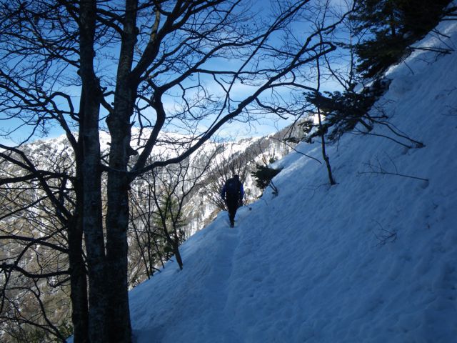 Velika planina - sv.Primož - foto