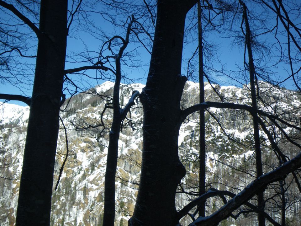 Velika planina - sv.Primož - foto povečava