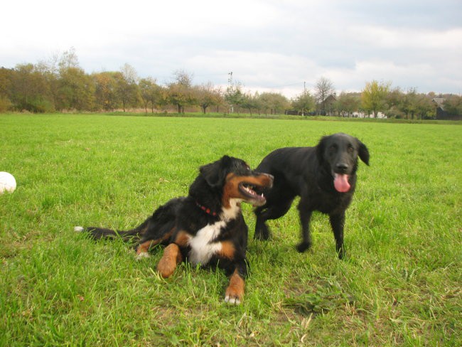 Rina&Zara,23.10.2005 - foto povečava